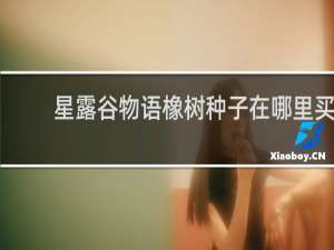 星露谷物语橡树种子在哪里买
