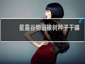 星露谷物语橡树种子干嘛