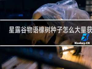 星露谷物语橡树种子怎么大量获得