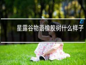 星露谷物语橡胶树什么样子