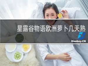 星露谷物语欧洲萝卜几天熟