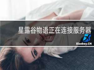 星露谷物语正在连接服务器
