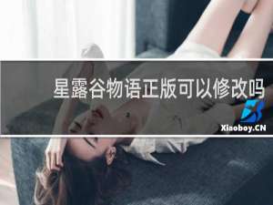 星露谷物语正版可以修改吗