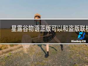 星露谷物语正版可以和盗版联机