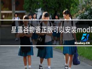 星露谷物语正版可以安装mod吗