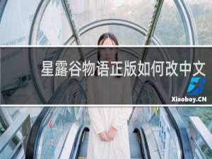 星露谷物语正版如何改中文