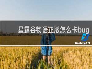 星露谷物语正版怎么卡bug