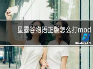 星露谷物语正版怎么打mod