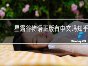 星露谷物语正版有中文吗知乎