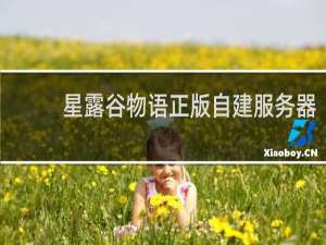 星露谷物语正版自建服务器