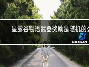 星露谷物语武器奖励是随机的么