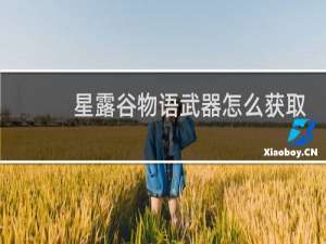 星露谷物语武器怎么获取