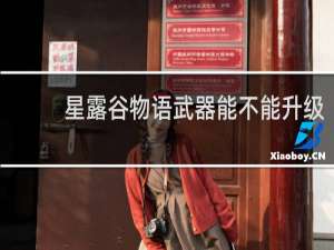 星露谷物语武器能不能升级