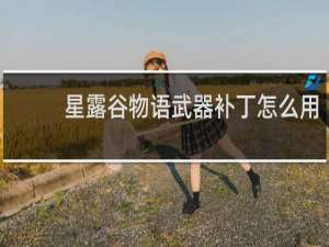 星露谷物语武器补丁怎么用