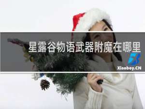 星露谷物语武器附魔在哪里