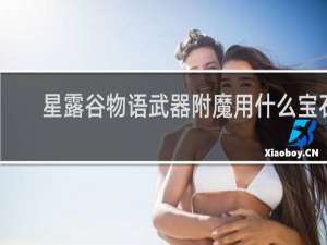 星露谷物语武器附魔用什么宝石