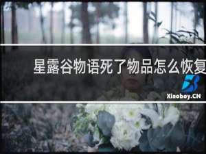 星露谷物语死了物品怎么恢复