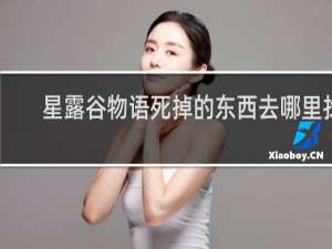 星露谷物语死掉的东西去哪里找
