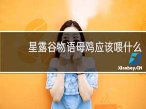 星露谷物语母鸡应该喂什么