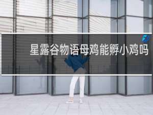 星露谷物语母鸡能孵小鸡吗