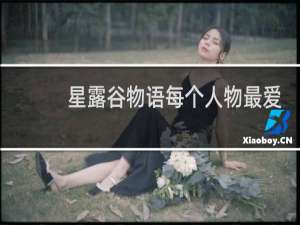 星露谷物语每个人物最爱