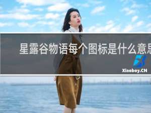 星露谷物语每个图标是什么意思