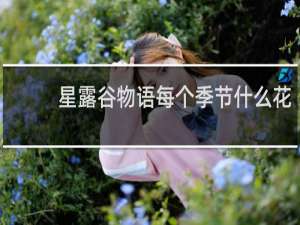 星露谷物语每个季节什么花