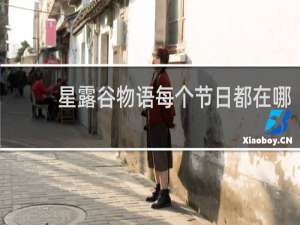 星露谷物语每个节日都在哪