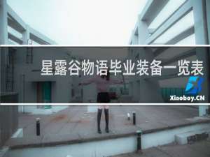 星露谷物语毕业装备一览表