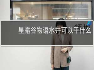 星露谷物语水井可以干什么