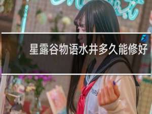 星露谷物语水井多久能修好