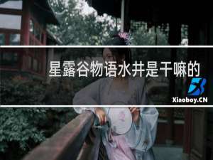 星露谷物语水井是干嘛的