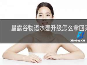 星露谷物语水壶升级怎么拿回来