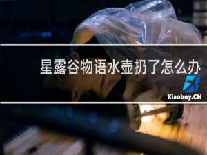 星露谷物语水壶扔了怎么办