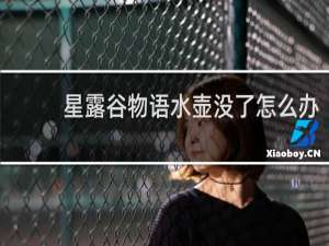 星露谷物语水壶没了怎么办