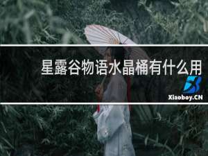 星露谷物语水晶桶有什么用