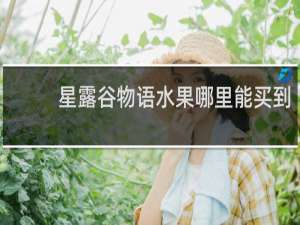 星露谷物语水果哪里能买到