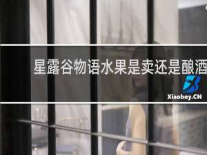 星露谷物语水果是卖还是酿酒