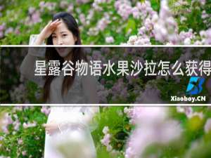 星露谷物语水果沙拉怎么获得