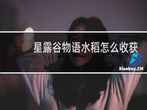 星露谷物语水稻怎么收获