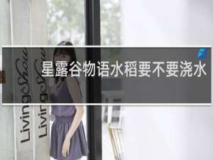 星露谷物语水稻要不要浇水