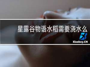 星露谷物语水稻需要浇水么