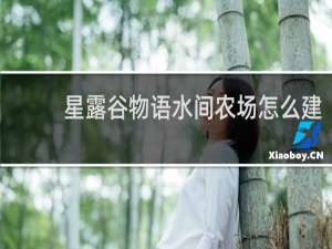 星露谷物语水间农场怎么建