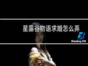 星露谷物语求婚怎么弄