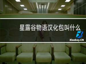 星露谷物语汉化包叫什么