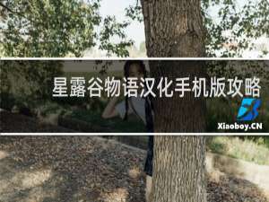 星露谷物语汉化手机版攻略