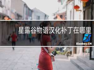 星露谷物语汉化补丁在哪里