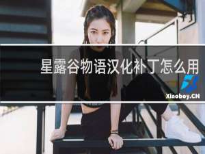 星露谷物语汉化补丁怎么用