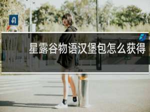 星露谷物语汉堡包怎么获得