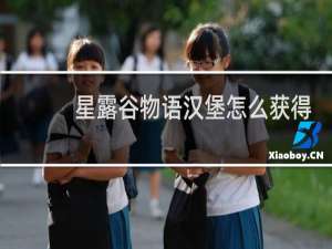 星露谷物语汉堡怎么获得
